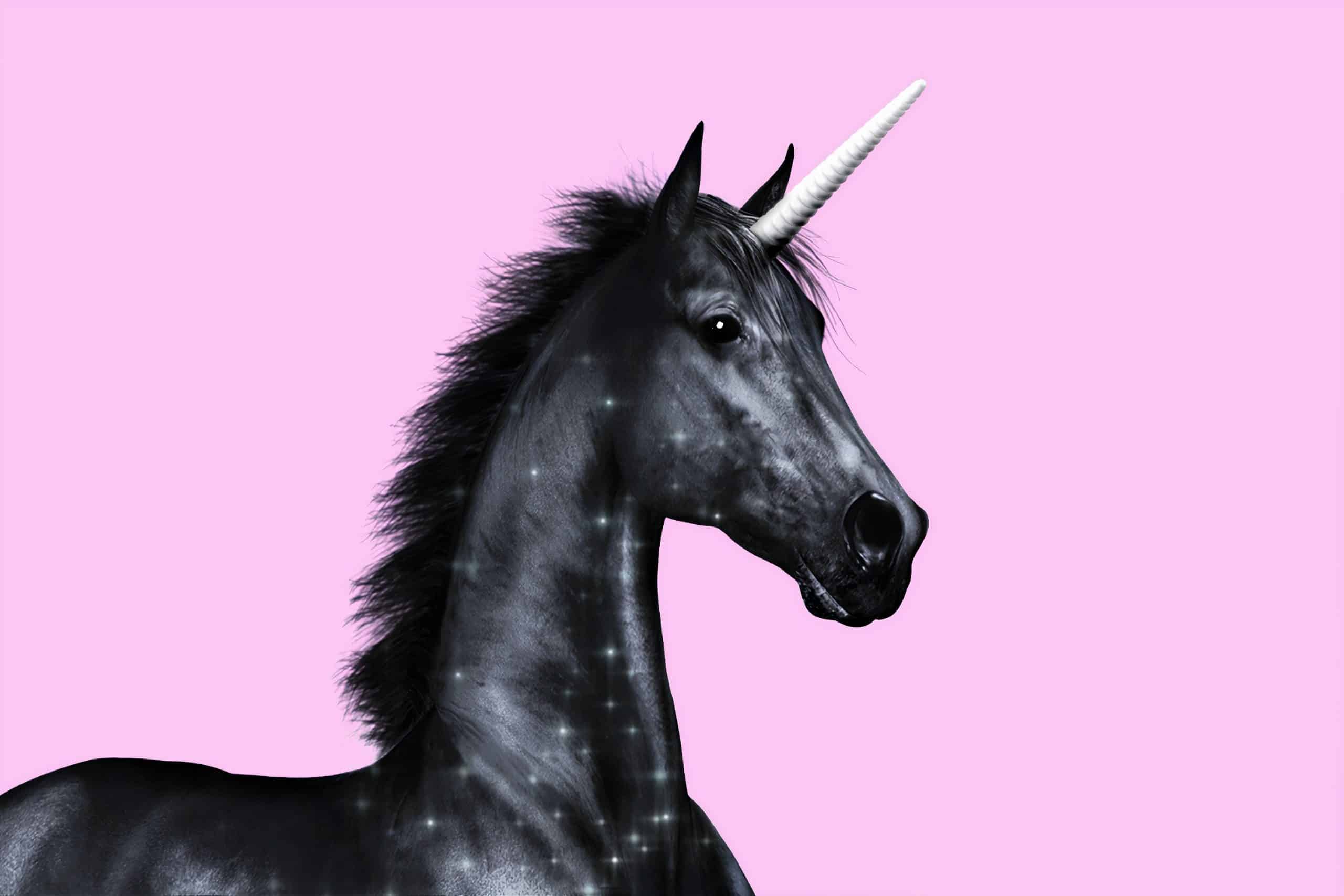 Are unicorns in the Bible? - Black unicorn pink background