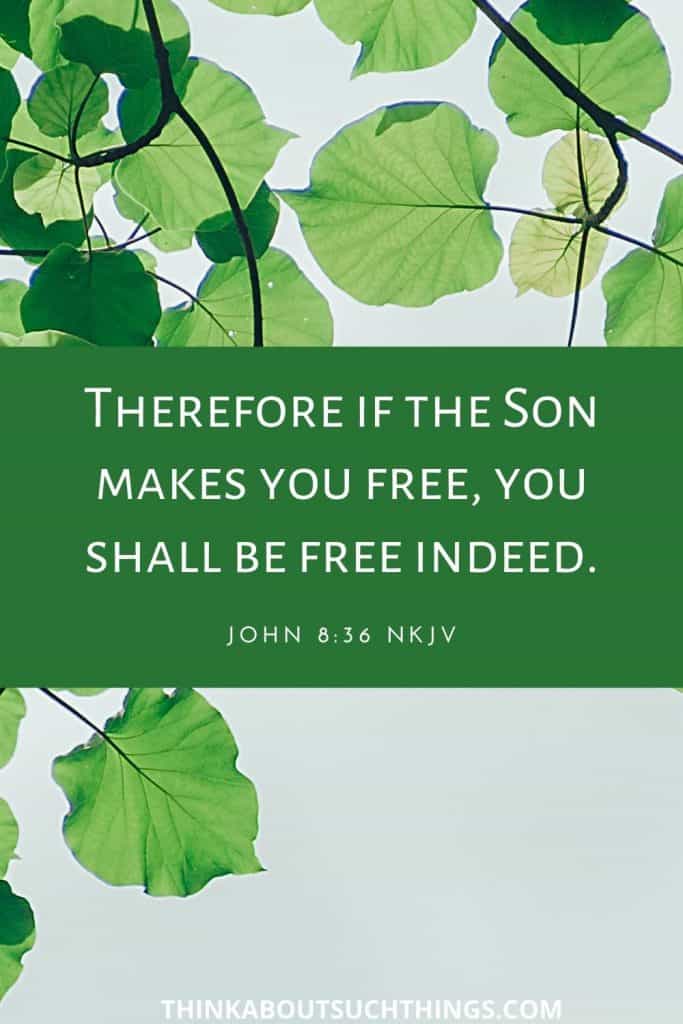 bible verses about freedom from sin
- John 8:36 Freedom in Christ