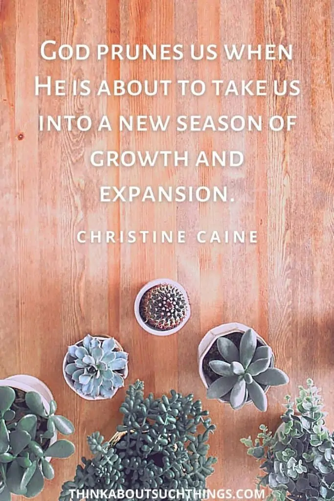 Pruning Quote by Christine Caine