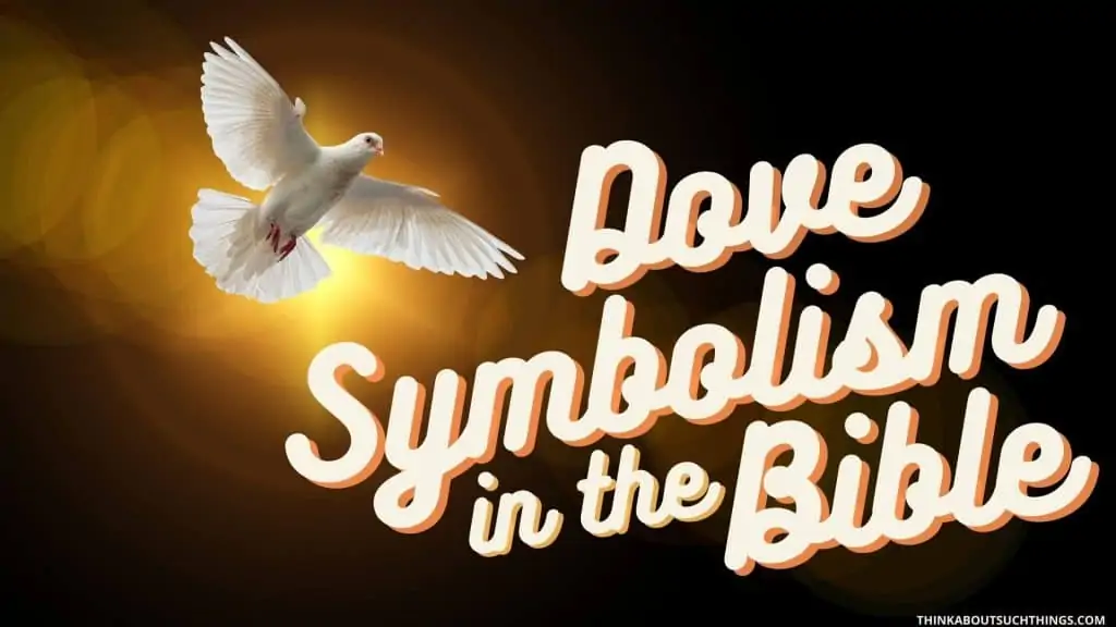 Dove symbolism in the Bible