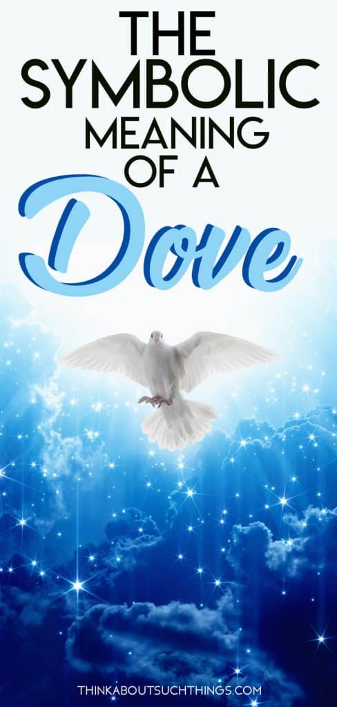 What Does A Dove Symbolism 9 Meanings We See In The Bible Think About Such Things