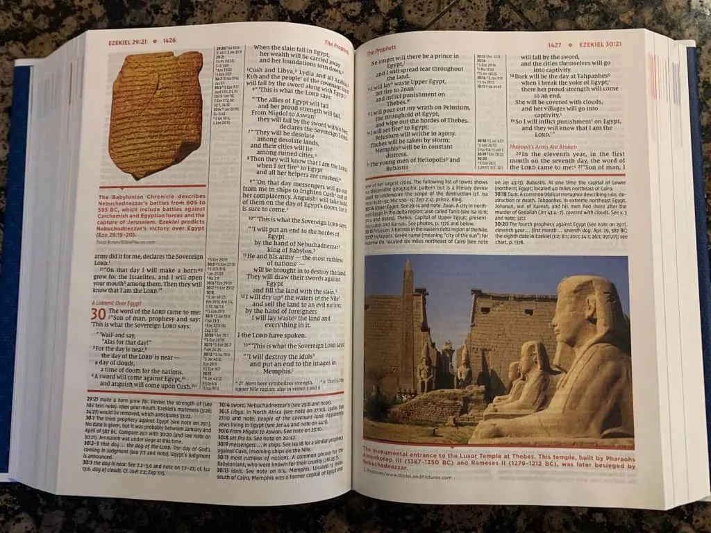 NIV Study Bible maps