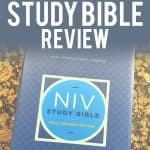 The NIV Study Bible Review