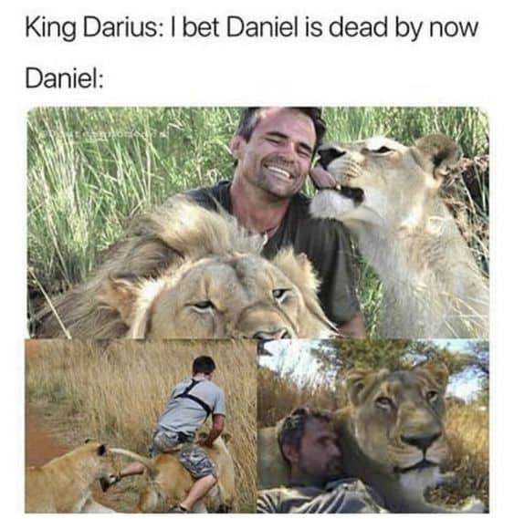 Daniel lions den Bible Meme