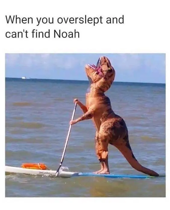 Noah's Ark Meme