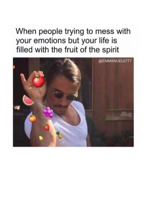 fruit of the spirit meme