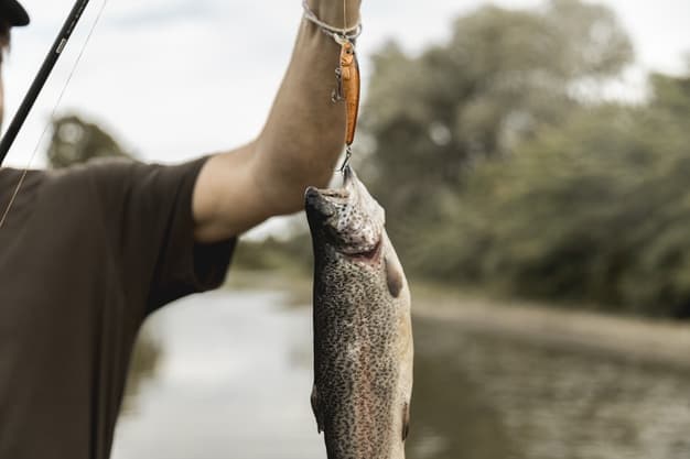 fish-dreams-the-biblical-meaning-of-fish-in-a-dream-think-about-such