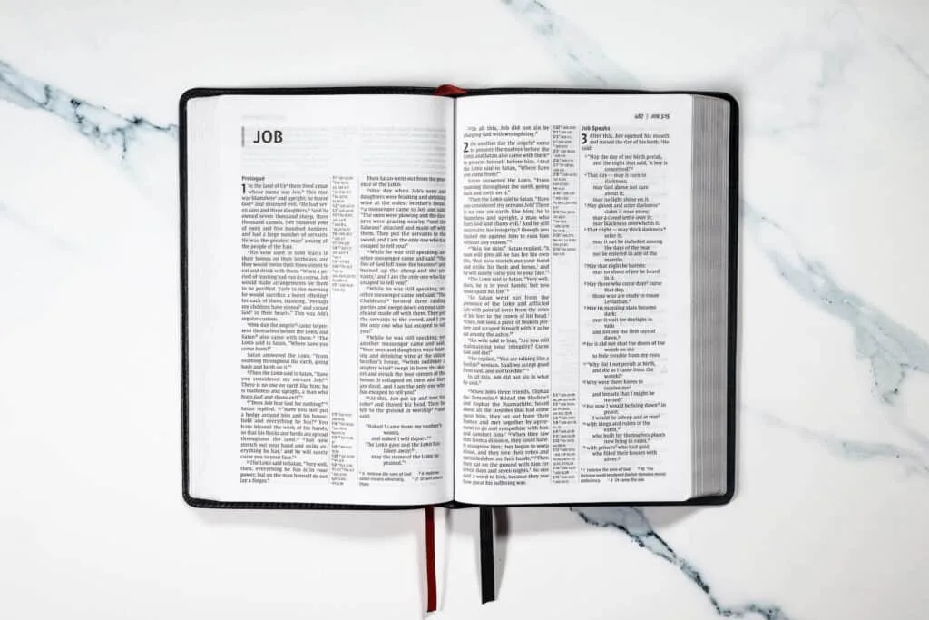 Job Bible Lesson