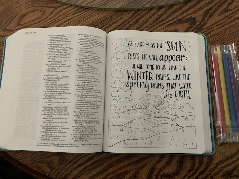full page illustration in Beautiful Word Bible for girls