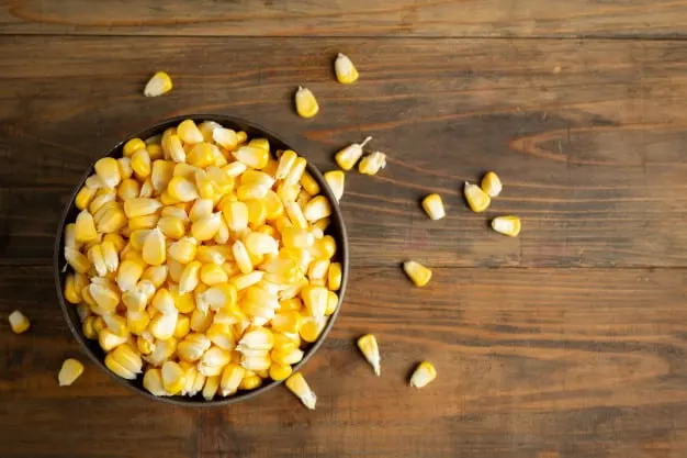 recipes with canned corn