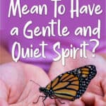 gentle and quiet spirit
