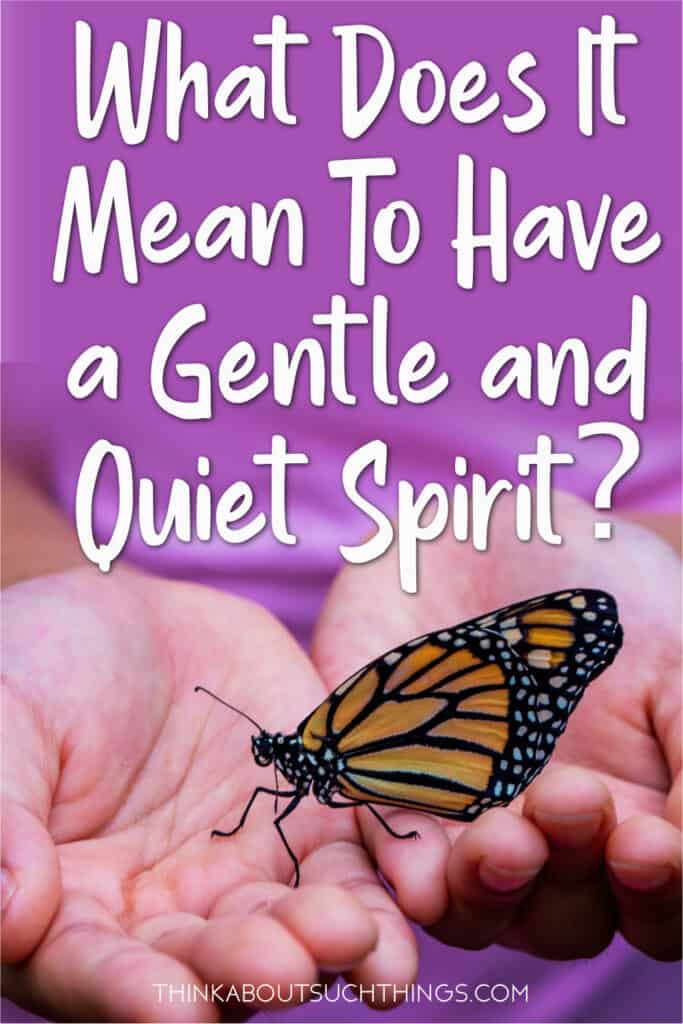 What Does It Mean To Have A Gentle And Quiet Spirit Think About Such 