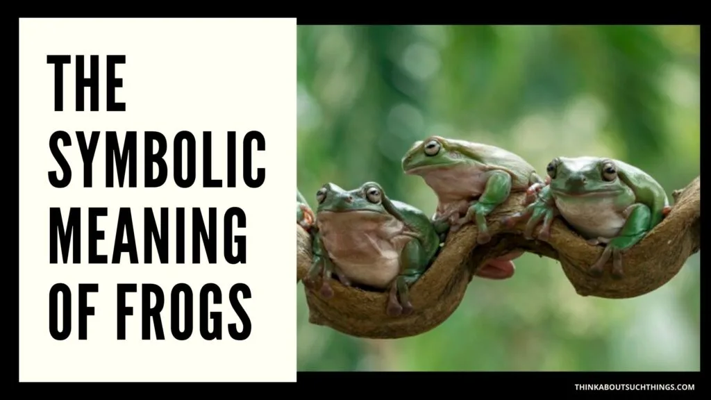 Dreams About Frogs: The Biblical Meaning Of Frog Dreams | Think About Such  Things
