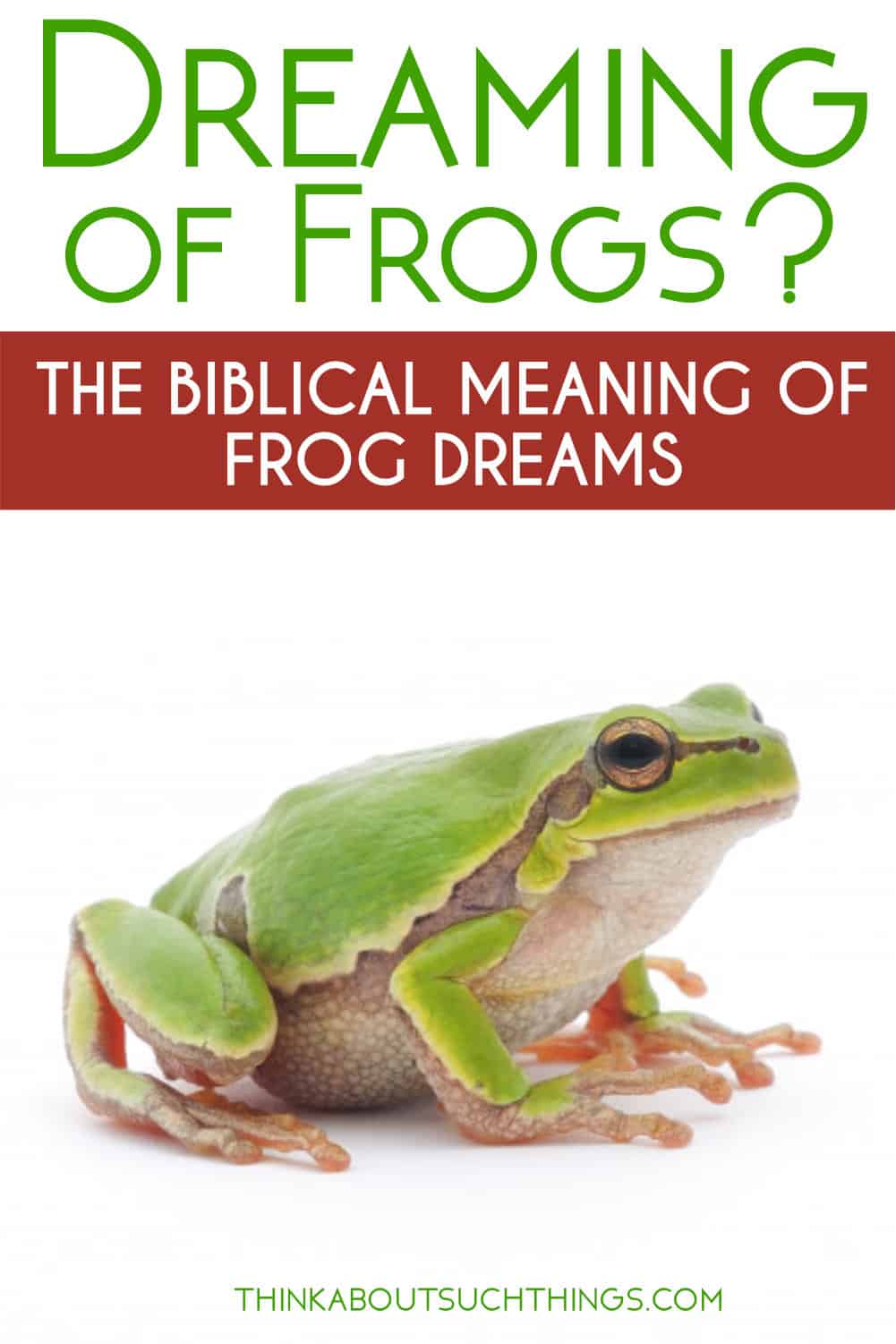Dreams About Frogs The Biblical Meaning Of Frog Dreams Think About