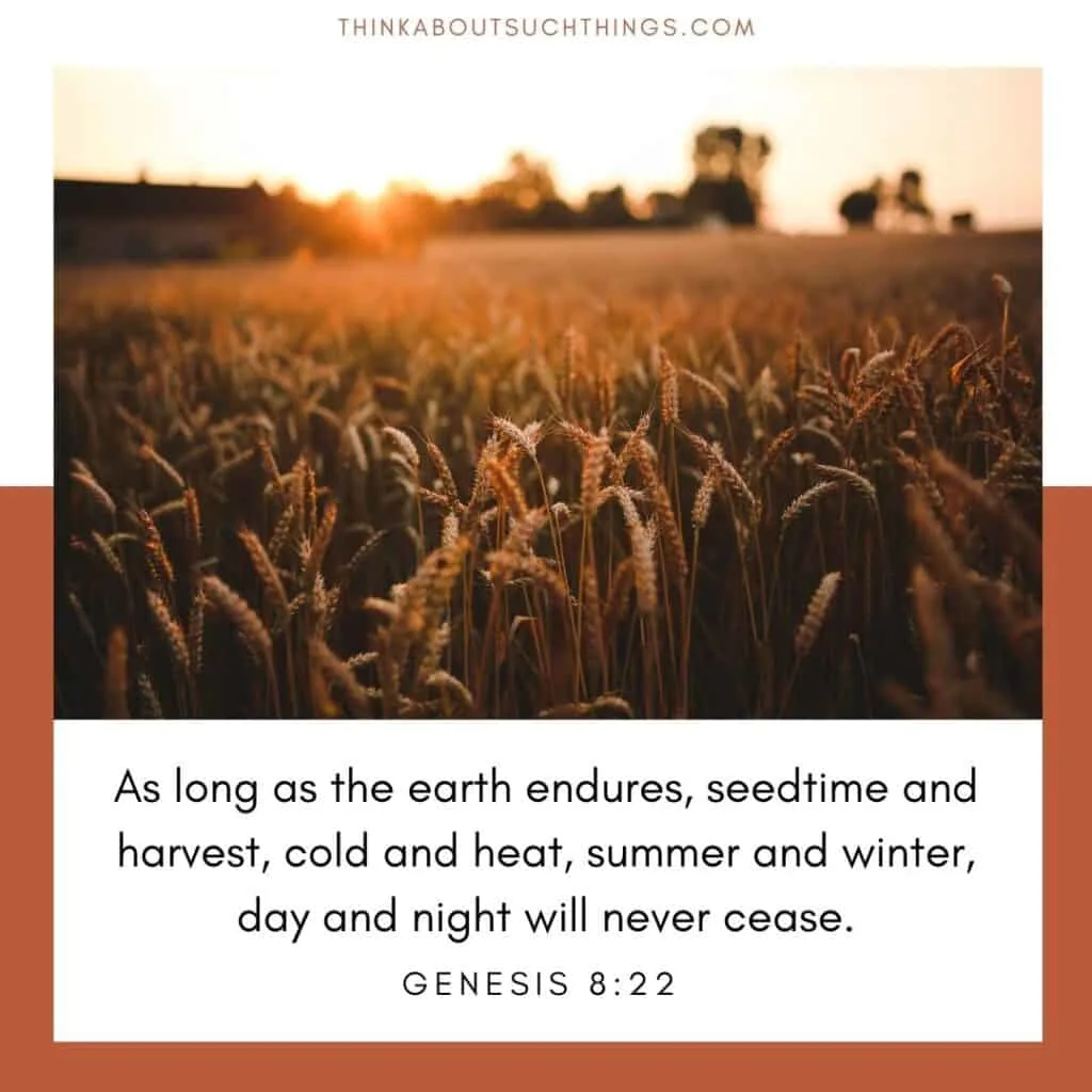 Bible verses about autumn Genesis 8:22