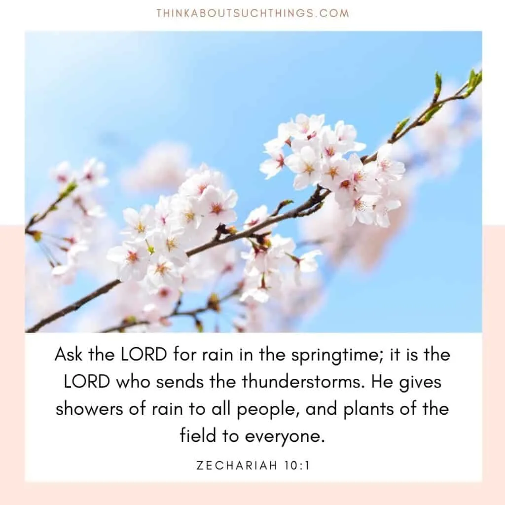 17 Beautiful Spring Bible Verses To Glean From | Think About Such Things