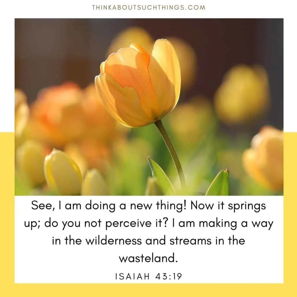 Springtime Bible verses Isaiah 43:19