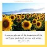 22 Neat Summer Bible Verses You Will Love | Think About Such Things