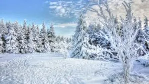 bible verses about winter