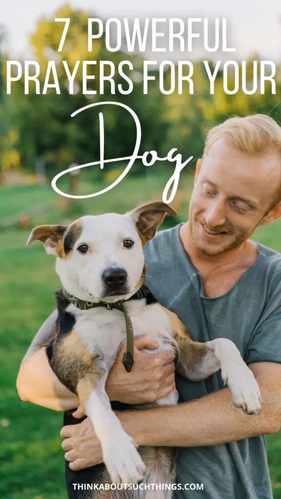 7 Powerful Prayers for Your Dog