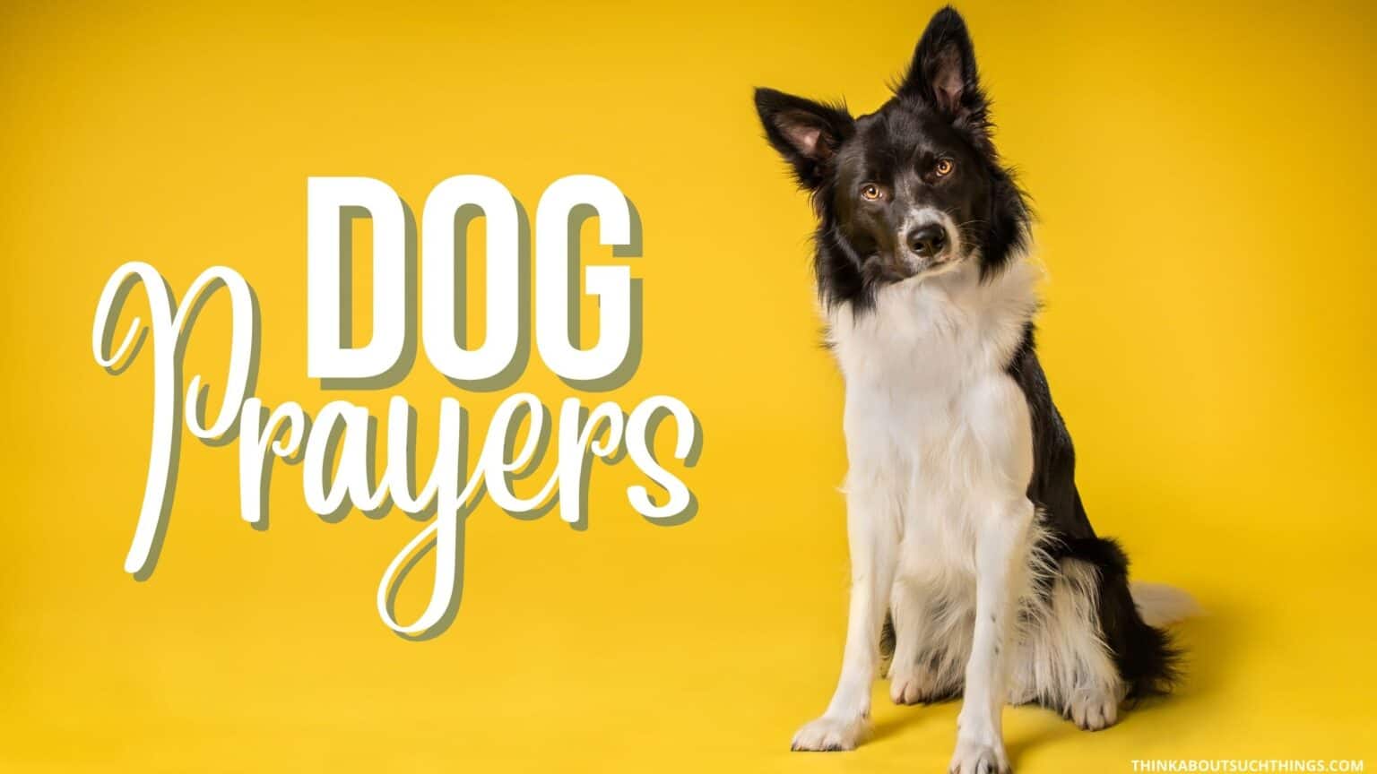 7 Powerful Prayers For Your Dog | Think About Such Things