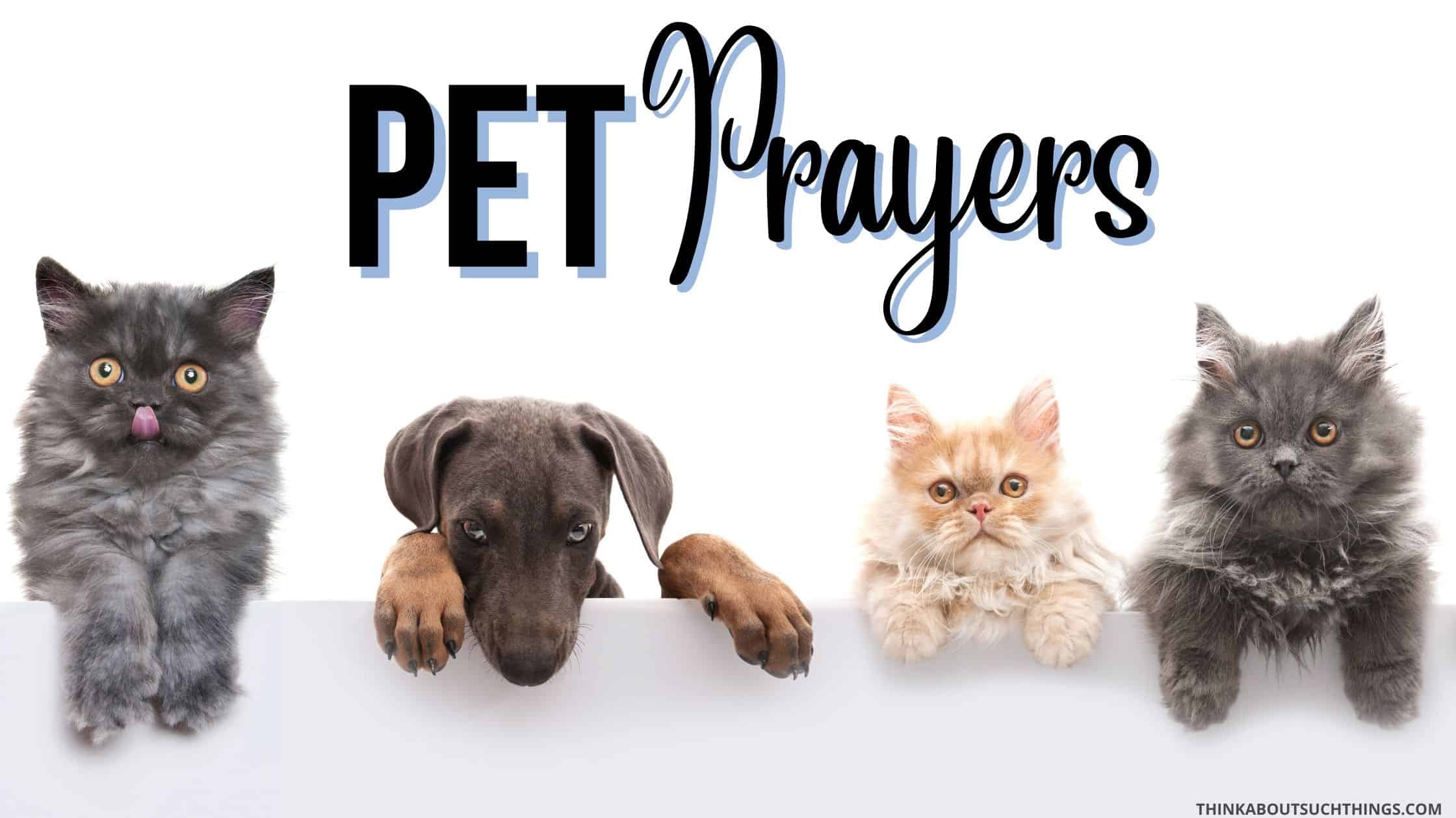 9 Powerful Prayers For Pets | Think About Such Things