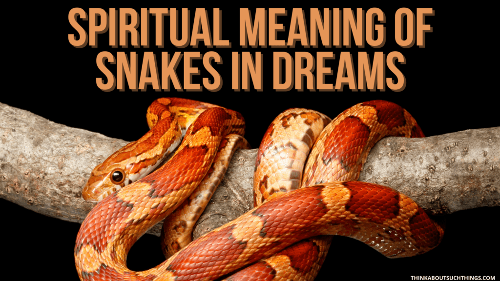 The Biblical Meaning Of Snakes In Dreams | Think About Such Things