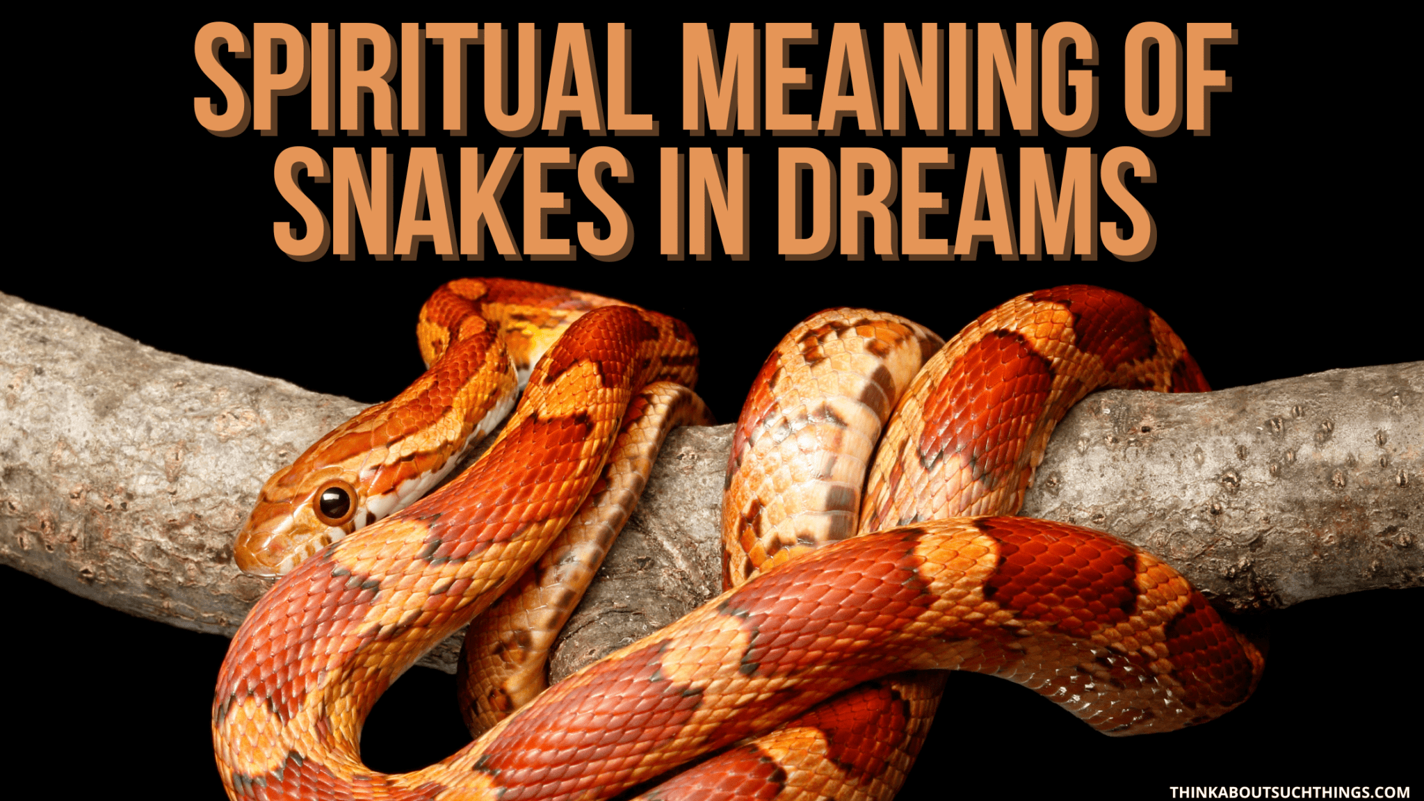 Navigating The Spiritual Realm: Unveiling The Biblical Meaning Of Snake 