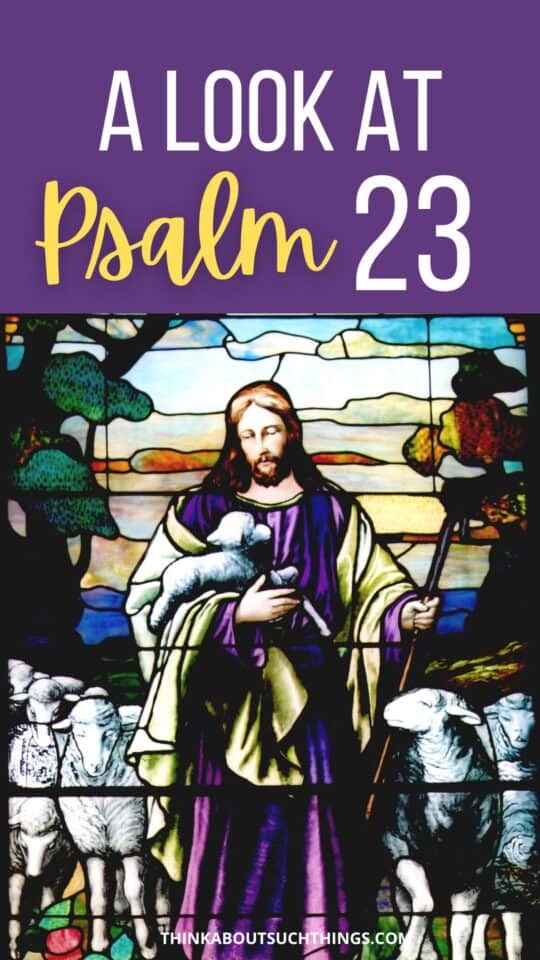 Psalm 23 Commentary A Simple Look At A Powerful Psalm Think About