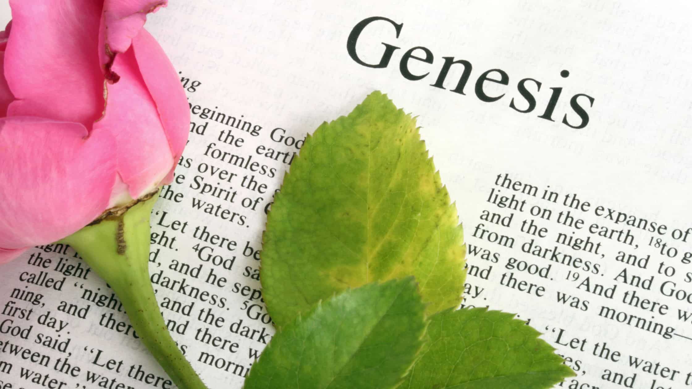 Outline Of Genesis Basic Detailed Outlines With Free PDF Think 