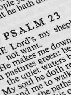 psalms 23 explained