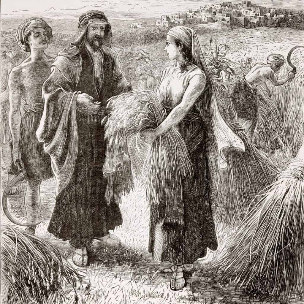 ruth and boaz gleaning wheat