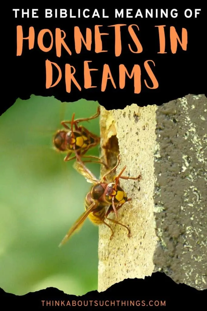 biblical meaning of hornets in dreams