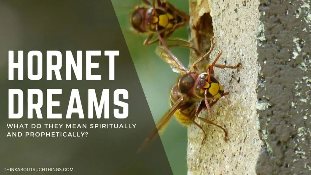 hornet dreams spiritual meaning