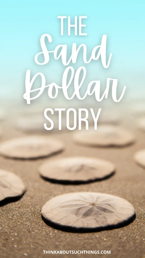 The Sand Dollar Story