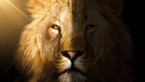 scripture about lions