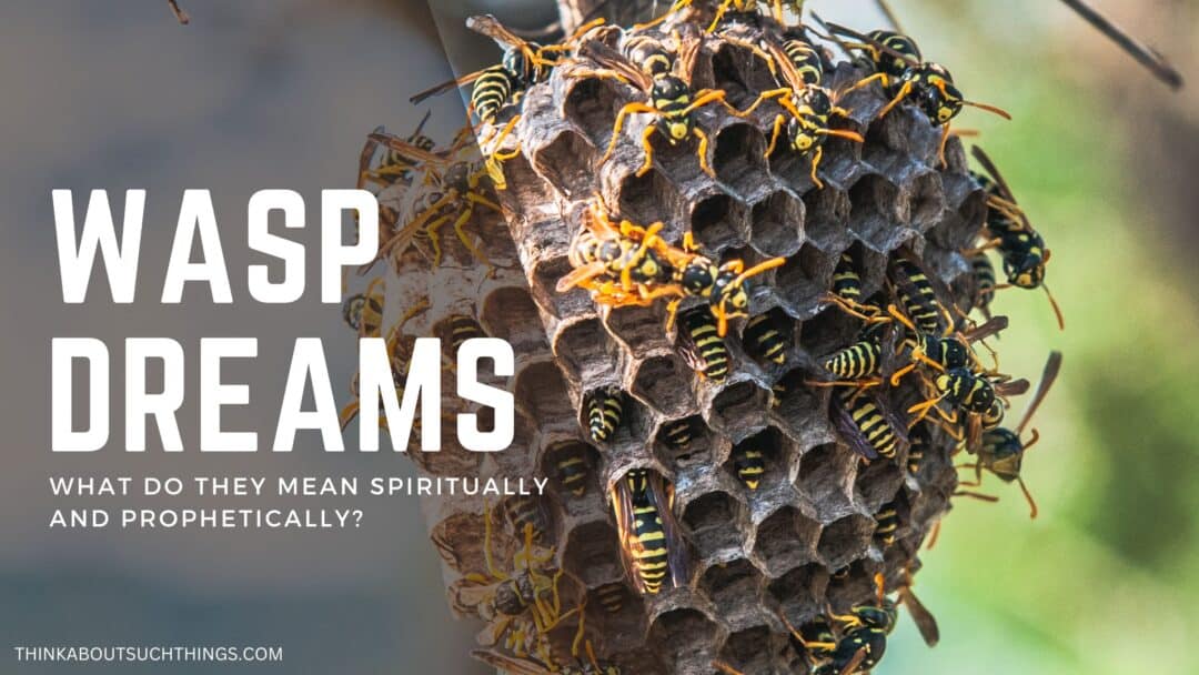 The Biblical Meaning Of Bees In Dreams (Plus Wasps And Think About Such Things