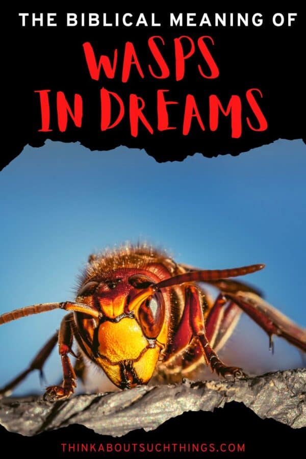 The Biblical Meaning Of Bees In Dreams (Plus Wasps And Think About Such Things