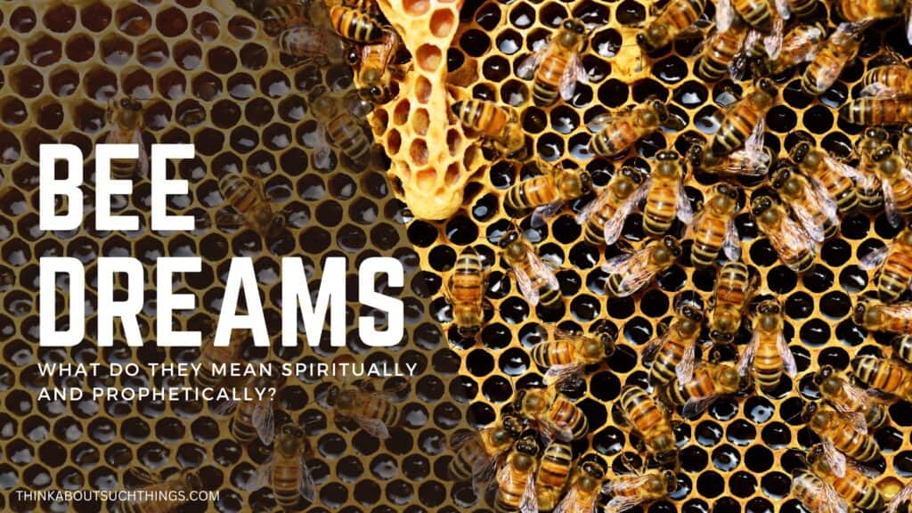bee dreams spiritual meaning