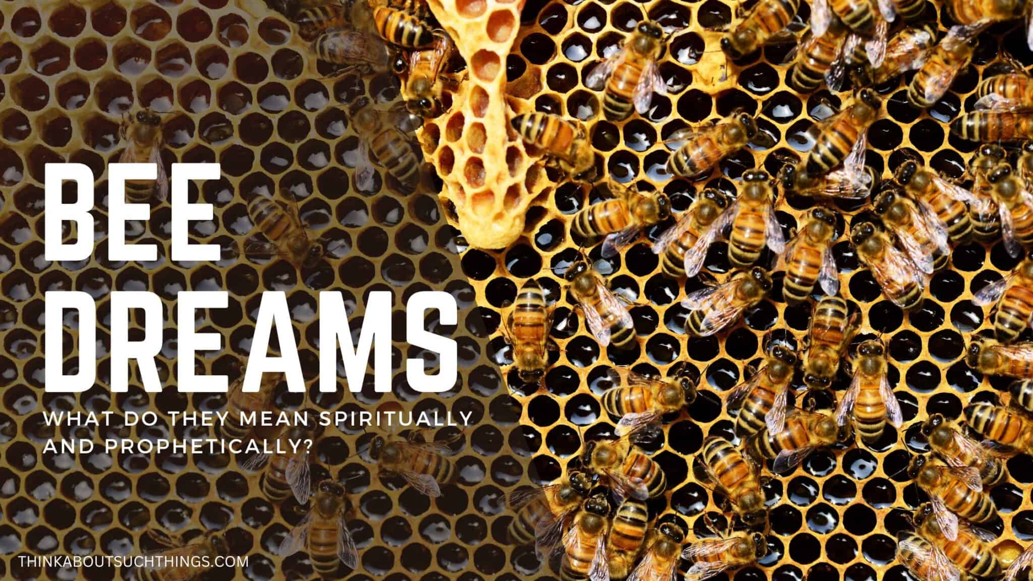 The Biblical Meaning Of Bees In Dreams (Plus Wasps And Think About Such Things