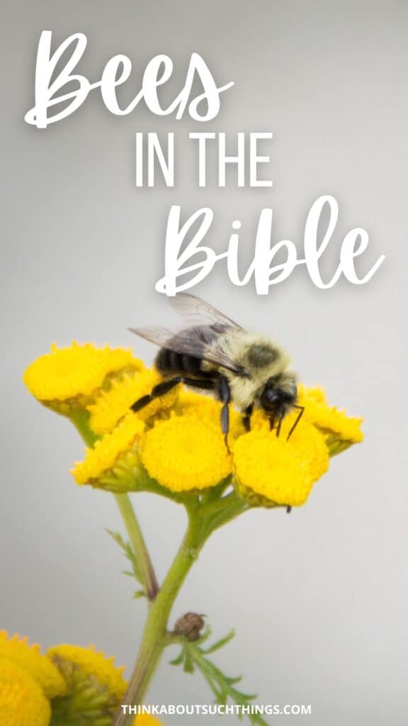 Bees In The Bible
