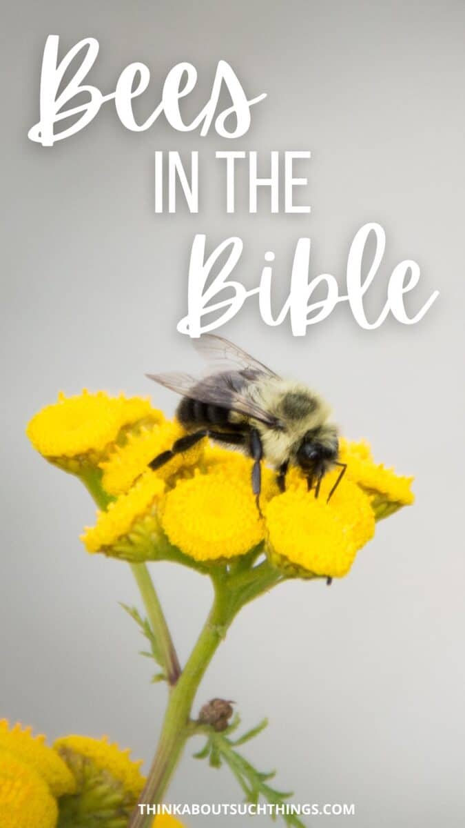 Bees In The Bible Symbolism Spiritual Meaning More Think About bees-in-the-bible-symbolism-spiritual-meaning-more-think-about
