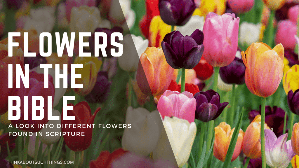 flowers in the bible meaning