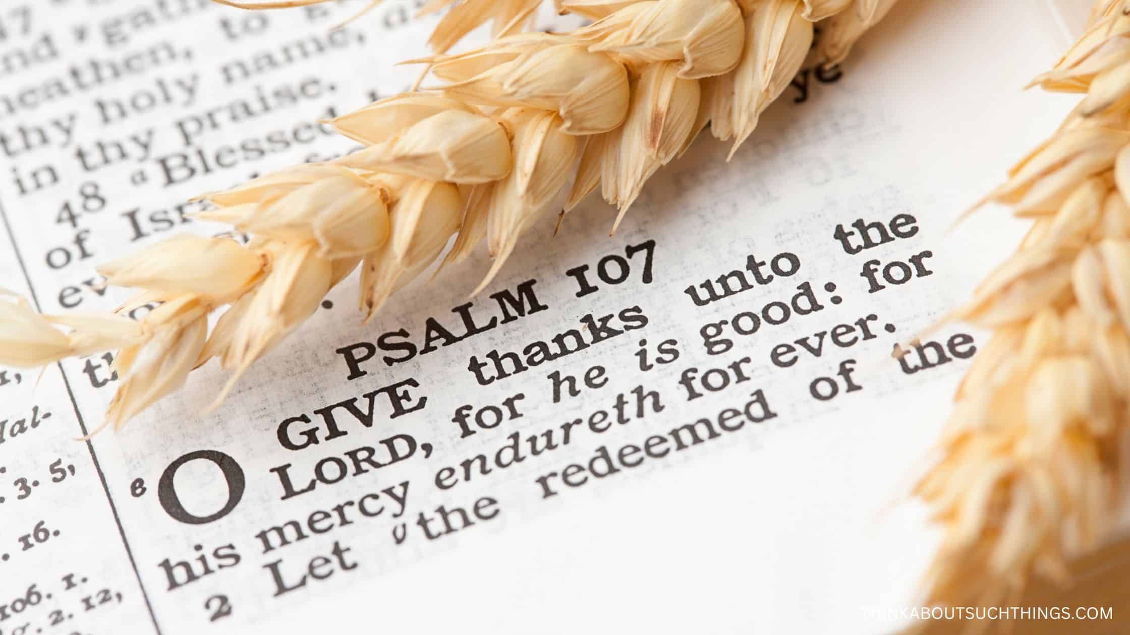 Powerful Bible Stories About Thankfulness Think About Such Things