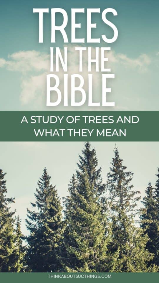 Trees In The Bible Symbolism And Significance Think About Such Things