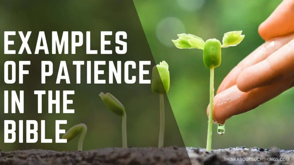 examples of patience in the Bible