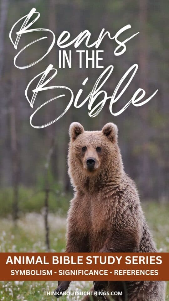 Bears In The Bible Symbolism References Meaning Think About Such   Bible Bear 540x960 