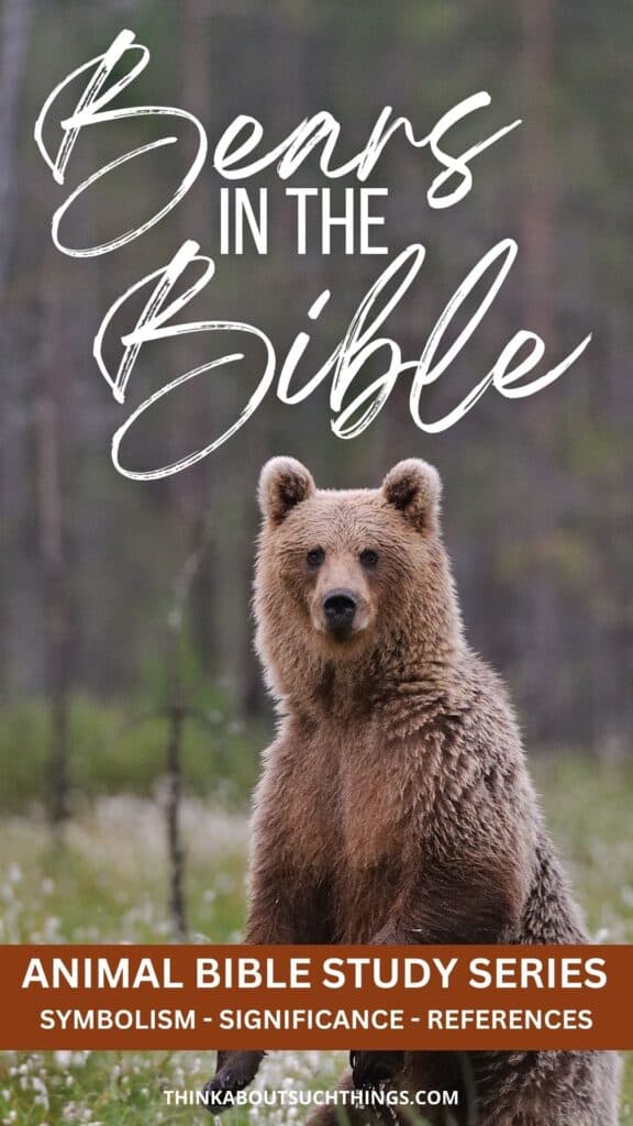 Bears in the Bible