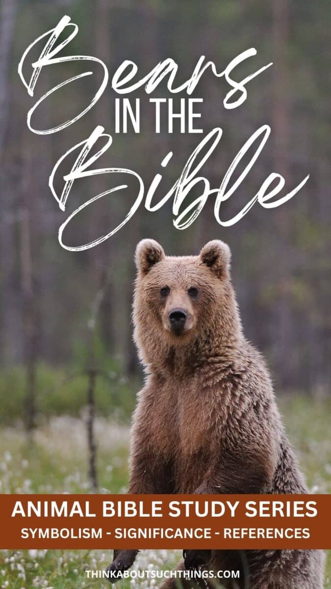 Bears In The Bible Symbolism, References, & Meaning Think About Such Things