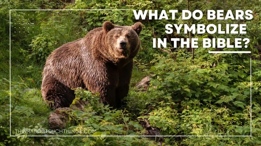 bear symbolism in the Bible